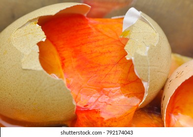 Rotten Eggs In Bowl. Bad Eggs Are Not For Eating And They Have Terrible Smell