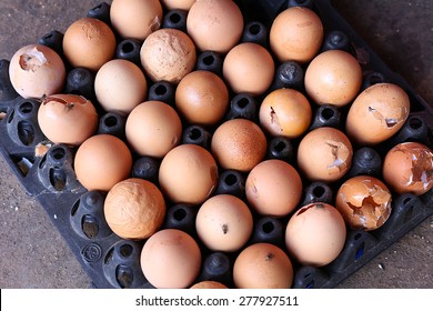 Rotten Eggs On Tray