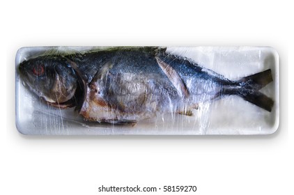 Rotten Fish In A Foam Box