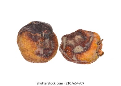 Rotten Fruit Isolated On White Background