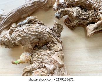 Rotten Ginger On Wooden Background