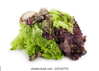 Rotten Lettuce On White Background