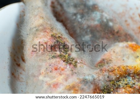 Rotten and Moldy chicken meat. Bad conditions of preservation. Close up, Spoiled food. Fungus illness.