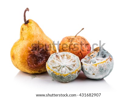 Rotten, moldy and decomposing organic lemon, apple, pear on white background.  Can be recycled as organic waste.