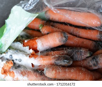 Rotten and moldy orange carrots in open plastic wrapping, selective focus