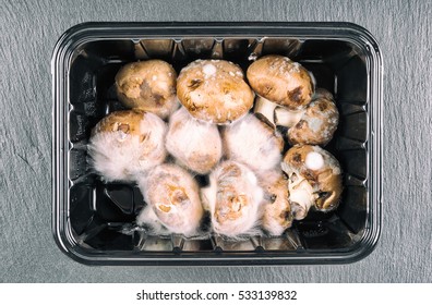 Rotten mushrooms covered with mold
