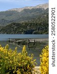 Rotten old dock with birds and beavers resting on it. Mountain view by the lake on a sunny day