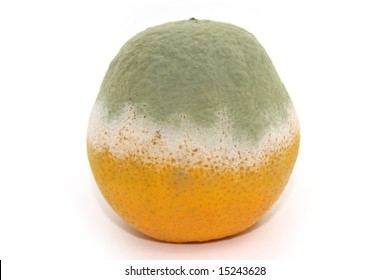 Rotten Orange