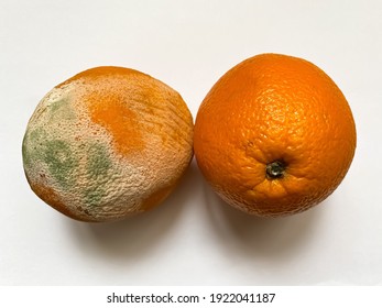 14,323 Rotten Orange Images, Stock Photos & Vectors | Shutterstock