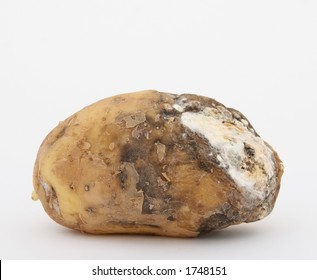 Image result for rotten potatoes