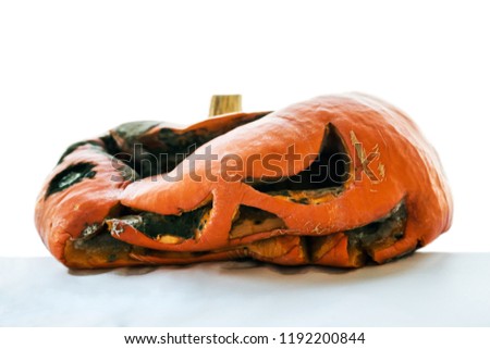 rotten pumpkin after Halloween isolated on white background 