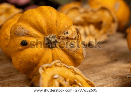 Rotten pumpkin fruit, spoiled rotten squash fruit with dark spots on the skin and a dry core under soft light with authentic signs of decomposition.
