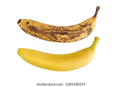 Rotten spoiled and ripe banana fruits isolated on white background. Good fresh and bad old bananas. Healthy food and fruit waste. - Powered by Shutterstock