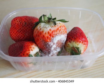 Rotten Strawberries