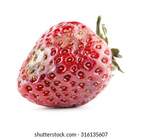 Rotten Strawberry