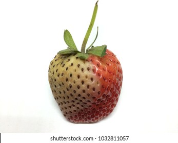 Rotten Strawberry On White Background