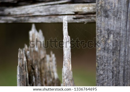 Image, Stock Photo cross-linked Environment