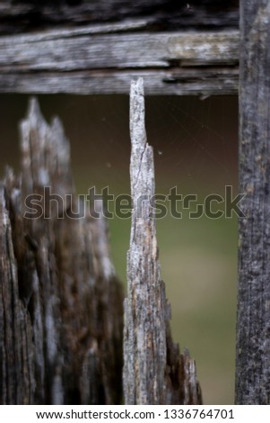 Similar – slats on the fence