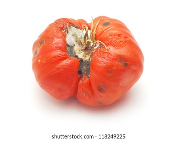 Rotten Tomato