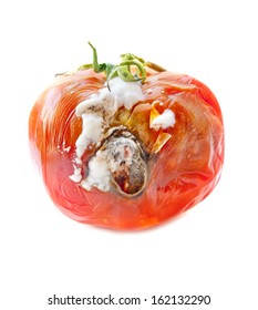 Rotten Tomato On A White Background