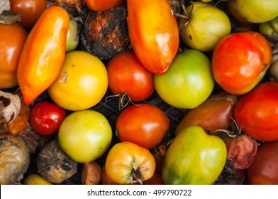 Rotten tomatoes background.