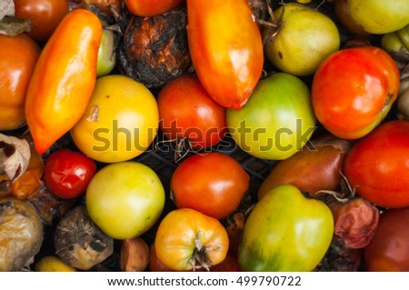 Rotten tomatoes background.