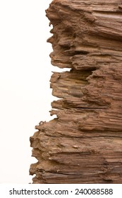 Rotten Wood Background