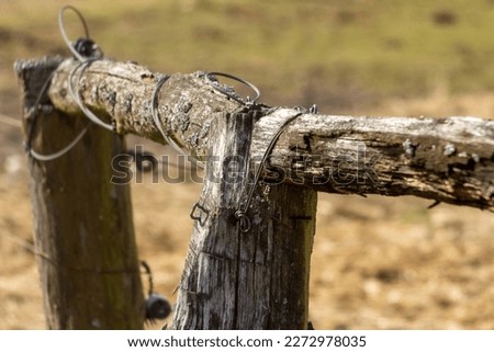 rotten wood, fence, wires, nature, Earth Day, Czech Republic
