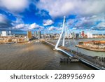 Rotterdam, Netherlands, city skyline and bridge in the afternoon.