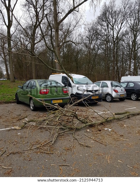 Rotterdam, Netherlands\
| February 18, 2022: Car damaged because of the storm Eunice in\
Rotterdam,\
Netherlands.