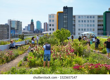 Rotterdam / The Netherlands - June 1st 2019: A Roof Garden With Flowers And Even Honey Bees On An Office Building From The Fifties In The Center Of Rotterdam