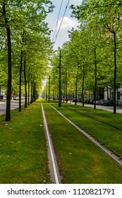 Rotterdam, Netherlands - June 3, 2018: Green tramway in the city center