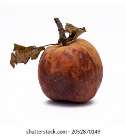 Rotting Apples, Decay And Food Waste Concept With Photograph Of Unhealthy Decayed Bad Apple Isolated On White Background With Clipping Path Cutout