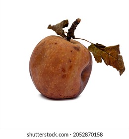 Rotting Apples, Decay And Food Waste Concept With Photograph Of Unhealthy Decayed Bad Apple Isolated On White Background With Clipping Path Cutout