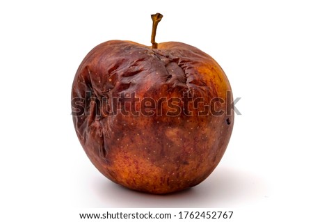 Rotting apples, decay and food waste concept with photograph of unhealthy decayed bad apple isolated on white background with clipping path cutout