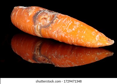 Rotting carrots on a black background with reflection