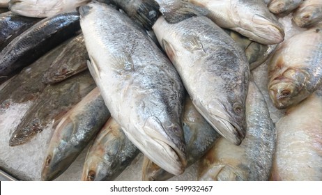 Rotting Fish Images, Stock Photos & Vectors | Shutterstock