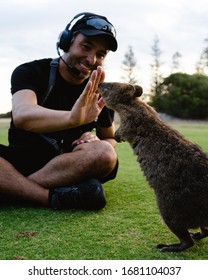 Rottnest Island, Perth, Australia - 18th March, 2020: Photographer Is Trying To Take A Quokka Selfie On Rottnest Island At Sunset. The Friendly And Curious Quokkas Come Out To Play At Sunset. 