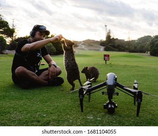 Rottnest Island, Perth, Australia - 18th March, 2020: Photographer Is Trying To Take A Quokka Selfie On Rottnest Island At Sunset. The Friendly And Curious Quokkas Come Out To Play At Sunset. 