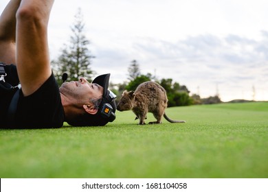 Rottnest Island, Perth, Australia - 18th March, 2020: Photographer Is Trying To Take A Quokka Selfie On Rottnest Island At Sunset. The Friendly And Curious Quokkas Come Out To Play At Sunset. 