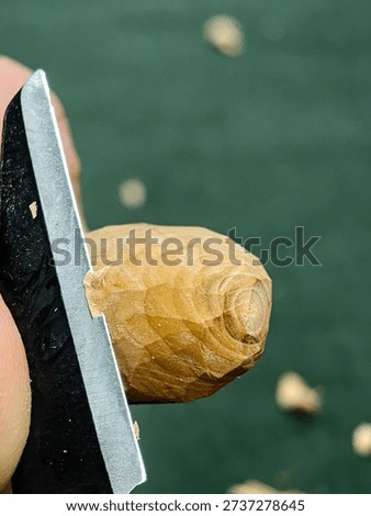 Rough carving with a chisel on a dry apple branch