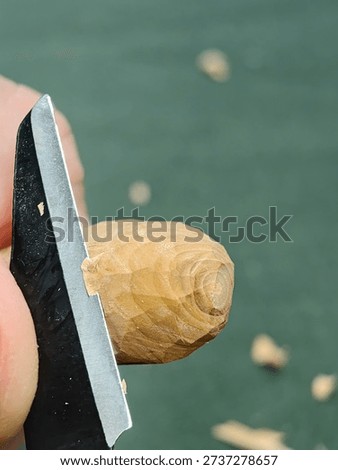 Rough carving with a chisel on a dry apple branch