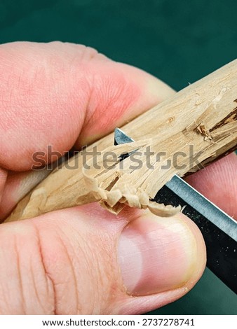 Rough carving with a chisel on a dry apple branch