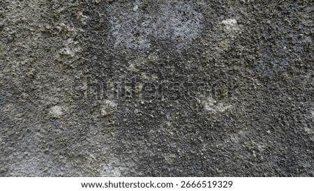Rough Cement Wall Texture with Dust and Dirt