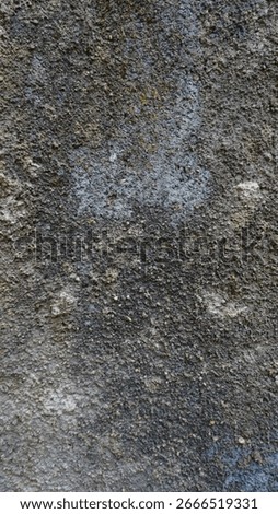 Rough Cement Wall Texture with Dust and Dirt