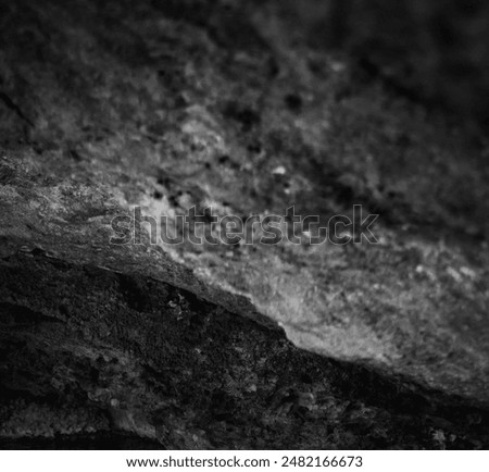 Similar – Image, Stock Photo Barnacles on the stones of the beach of Las Catedrales, Lugo, Spain