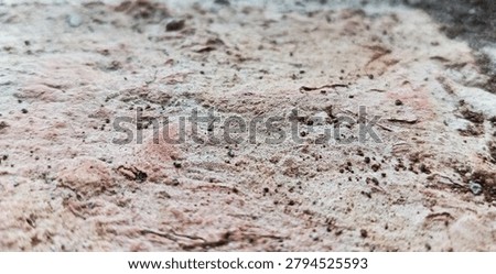 Rough Concrete Wall Texture Background with Grunge Overlay Detail.
High resolution rough concrete wall texture with weathered surface, sand grains, cracks and natural patina. Grunge background with distressed overlay effect. Perfect for industrial background, vintage poster, 3d mockup, bump map, displacement map and abstract design template. Copy space available.
