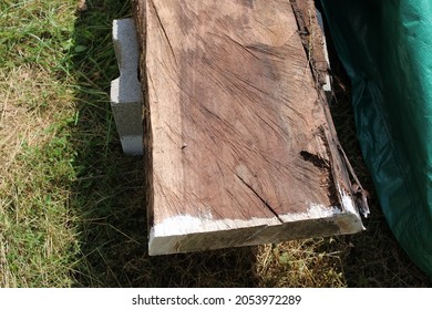 A Rough Cut Slab of Black Walnut Wood Drying o na Cinderblock