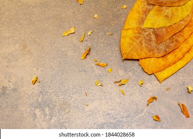 Rough Dry Tobacco Leaves. High Quality Big Leaf Ready To Be Made Cigarettes. Stone Concrete Background, Top View