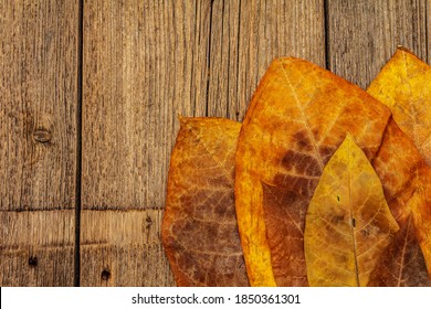 Rough Dry Tobacco Leaves. High Quality Big Leaf Ready To Be Made Cigarettes. Old Wooden Table, Top View